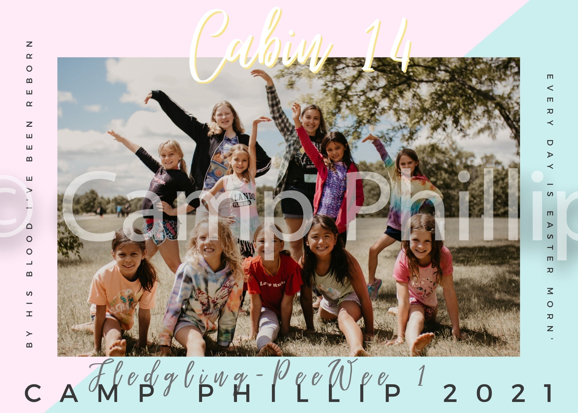 Fledgling 1 Cabin Photo 2021